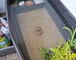 Ungeeignet für die Terrasse 