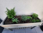 Schönes schmales Hochbeet