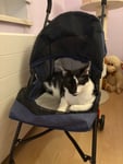 Haustierwagen für Katzen/Hunde