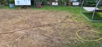Versuch eines Rasenneuaufbaus