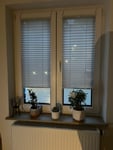 Nur positive Bewertungen !