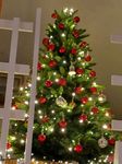 Top Weihnachtsbaum 