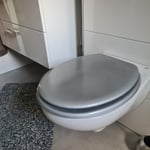 Hochwertiger WC-Sitz