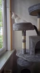 Yaheetech Katzenbaum