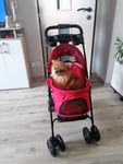 Supééér  kočárek pro pejska. Jessinka ho miluje, je pomeranian a velikost kočáreku úplně přesně odpovídá 