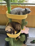 Meine Katzen sind begeistert!!!!