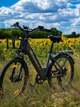 Top E Bike