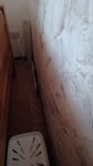 Schimmel Dry 3er Set