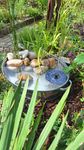 Kleine Wanne