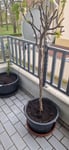Perfekt,besser geht nicht!!!!