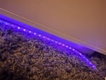 Die LED Lichter haften nicht 
