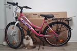 Ein sehr schönes Fahrrad 