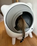 Super praktische intelligente Katzentoilette, sehr empfehlenswert!