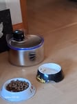 Unsere Katzen und der Hund habe den Trinkbrunnen sofort akzeptiert, haben ja schon den kleinen Pixi Trinkbrunnen. 