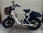 Robustes e-bike