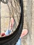 Leider absolute Katastrophe 