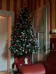 Weihnachtsbaum 