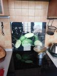 Kryt varné desky