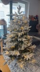 Schöner, kompakter Weihnachtsbaum mit warmem Licht