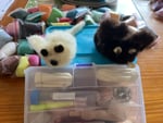 Bin zufrieden mit Versand und Produkt 