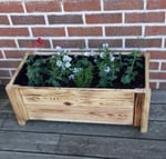 Jardinière 