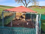 Stabiles Dach - preiswert u. gut