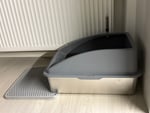 Tolles Katzenklo 