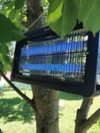 Insekten vernichten 