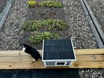 Das Katzenhaus ist gut durchdacht, einfach zusammengebaut und gut verarbeitet.