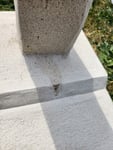 Schlechte Qualität ,sorry
