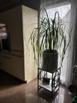 Blumentisch