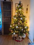 Tannenbaum 