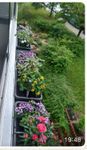 Blumenkasten mit Wasserspeicher 