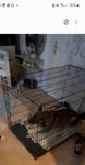 Hundebox xxl