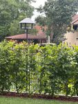 Vogeltränke