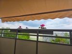 Markise