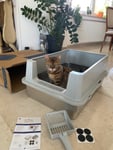 Super schönes Katzenklo mit viel Platz und Mega einfache Reinigung!