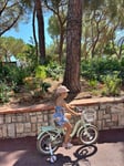 Great bike!!!