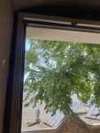 Fenster Moskitonetz