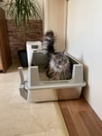 Super schönes Katzenklo mit viel Platz und Mega einfache Reinigung!