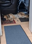  sehr gut 
