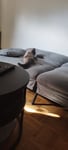 Divano letto mini 