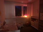 Egmont Toya Lampe Fliegenpilz