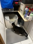 Tolles neues Spielzeug für meine Kater 