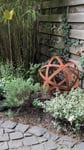 Wunderschöne Gartendeko