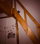 Tolles vielseitiges Katzen Spielzeug 