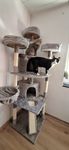 Beide katzen lieben ihren neuen Kratzbaum 