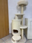 Toller Kratzbaum 