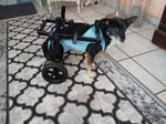 Super leichter Rolli