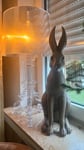Ein wunderschöner Großer Hase 